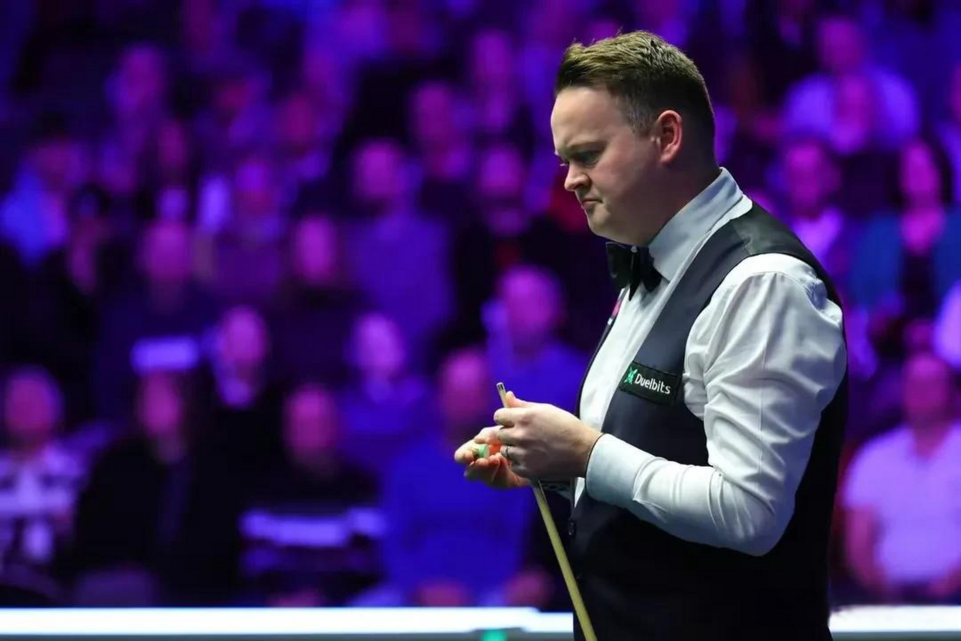 赵心童在斯 赵心童在斯