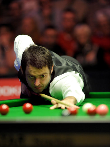 球迷的热烈 球迷的热烈