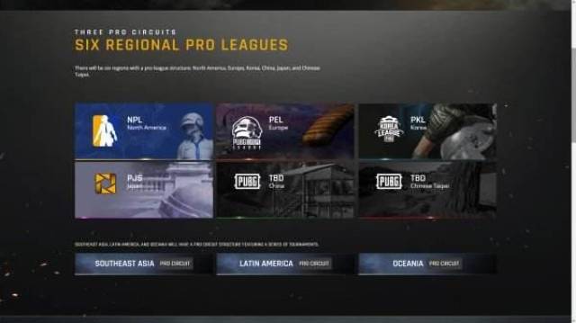 训练中固化 训练中固化